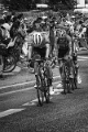 tour de france (11)